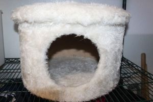 lot 121 image: Cat Hidey Hole