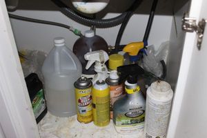 lot 422 image: Everything under the Kitchen Sink