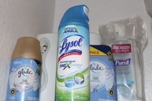 lot 505 image: air fresheners