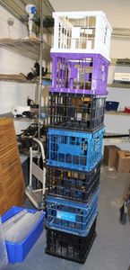 lot 502 image: Seven Stacking Crates