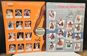 lot 262 image: 20032004 WNBA ADVERTISING PROMOS