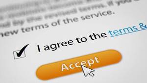lot 6 image: TERMS & CONDITIONS