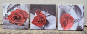 lot 172 image: SET OF 3 CANVAS PRINTS