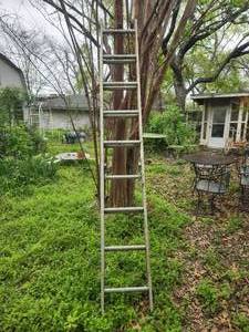 lot 245 image: 16 aluminum ladder