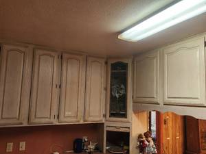 lot 160 image: Contents of upper kitchen cabinets (only ones in picture) - bring boxes or bins