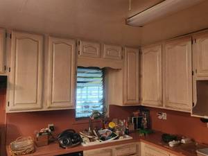 lot 158 image: Contents of upper kitchen cabinets (only ones in picture) - bring boxes or bins