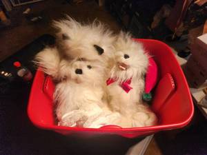 lot 67 image: Bin of several stuffed bears and rabbits