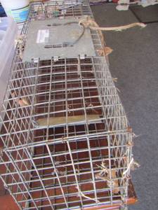 lot 175 image: small animal trap