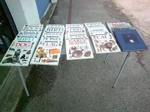 lot 48 image: 20-Eyewitness Books And 4-Misc. Books