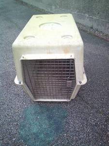 lot 74 image: X-Large Portable Animal Crate