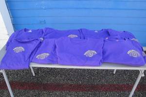lot 183 image: 10- Medium Tee Shirts- All Purple NOTE Mixed Styles, Yours will Vary, Photos Are Examples Only, NOTE 10-X Money