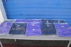 lot 168 image: 10-Large Tee Shirts- NOTE Mixed Colors And Styles, Yours will Vary, Photos Are Examples Only, NOTE 10-X Money