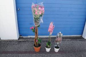 lot 209 image: Lot Of 6-Artificial Floral Plants (2) Trees, About 48-H, (2) Plants, About 34-H And (2) Flowers, About 24-H, All New In Boxes