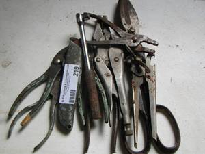 lot 219 image: plyers