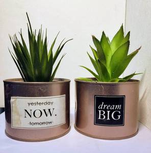 lot 118 image: LOT OF 2 PLASTIC PLANTS DESK DECORATIONS