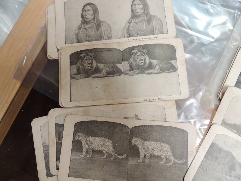 lot 1691 image: Stenograph cards  qty 11...