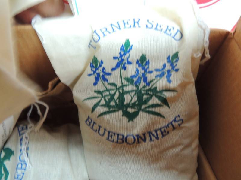 lot 661 image: 1 box with 4 bags of Blue Bonnet fl...