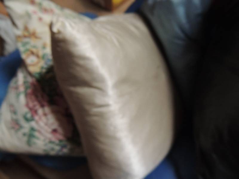 lot 685 image: Bedding pillows and throw pillows...
