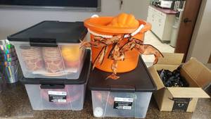 lot 314 image: Halloween Dcor Lot w Pumpkins, Tabletop Dcor & More