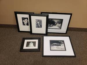 lot 1497 image: Lot of 5 Framed & Matted Black & White OutdoorNature Prints