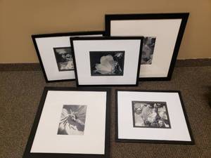 lot 1498 image: Lot of 5 Framed & Matted Black & White OutdoorNature Prints