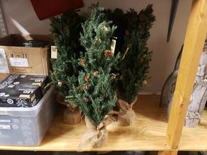 lot 1957 image: Lot of 10 Mini Tree Tabletop Dcor