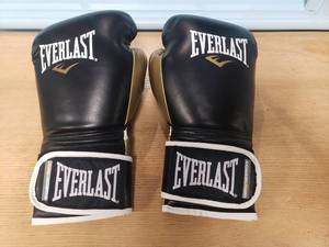 lot 2040 image: Pair of Everlast Power Lock 16ox Boxing Gloves