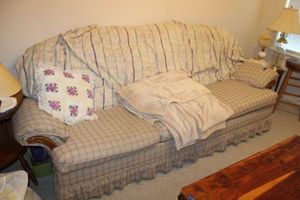 lot 219 image: Sleeper Sofa couch with blanket