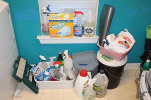 lot 84 image: Misc. Cleaners and pet odor eliminators, plus pet food container