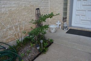 lot 341 image: Yard and porch decorations, garden hose and trellis