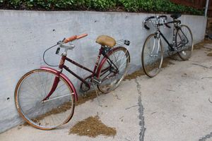lot 329 image: Vintage womens Free Spirit 3-speed bicycle and mens Murray 10-speed bicycle