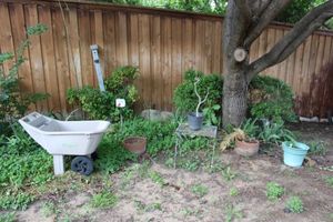 lot 335 image: Plastic wheelbarrow, planters, tomato cage and birdhouse stake