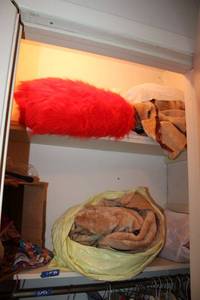 lot 57 image: Red furry fabric and plush brown fabrics
