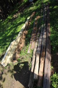 lot 108 image: A Lot of Wood - Siding and 2x6 Boards, up to approximately 10ft as shown and Cedar Logs from approx. 6 to 18 Long, See photos