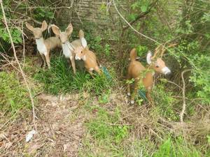 lot 228 image: Selection of 4 concrete deer statues - in back yard will need a dolly to remove -HEAVY