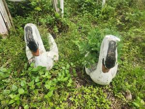 lot 226 image: Selection of 2 large concrete swan planters