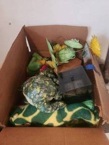 lot 65 image: Box of stuffed frogs and more
