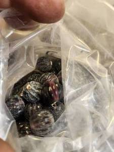 lot 263 image: Generous selection of glass beads for jewelry and craft making