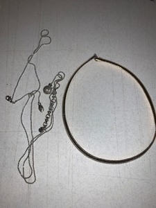 lot 99 image: 2 necklaces 1 serpentine type, no markings 1 silver tone long charm necklace magnet does not stick to either