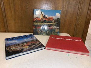 lot 117 image: 3 hardback books very nicely illustrated Berlin and Dutchland