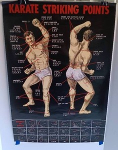 lot 83 image: Karate Striking Points Informational Poster