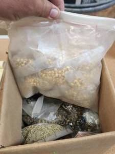 lot 237 image: Generous selection of metal beads for jewelry and craft making
