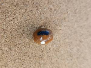 lot 315 image: Generous selection of glassclay beads for jewelry and craft making