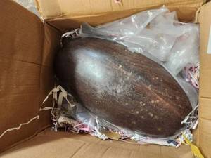 lot 347 image: Lingam Stone from the Narmada basin in India - Large