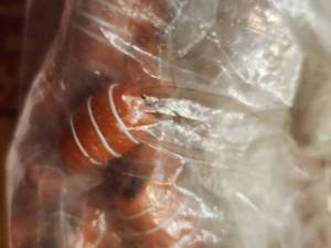 lot 359 image: Generous selection of glassclay beads for jewelry and craft making