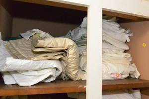 lot 140 image: SHELF LOT - INCLUDES EVERYTHING ON THIS SHELF