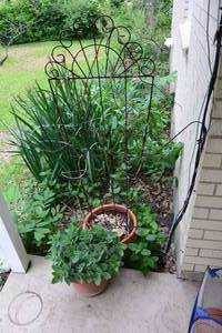 lot 267 image: IRON TRELLIS WITH POTTED PLANT AS SHOWN