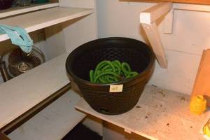 lot 402 image: EXPANDABLE WATER HOSE WITH PLASTIC HOSE HIDING PLANTER