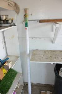 lot 423 image: LOT OF BAMBOO PLANT STAKES AND A CARBOARD TUBE  TO PROTECT GROWING TREES