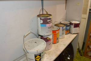 lot 457 image: PAINT LOT - INCLUDES EVERYTHING ON THIS SHELF